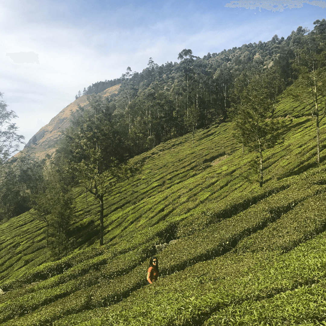 Viaje para mujeres a India con Ellas por el Mundo40