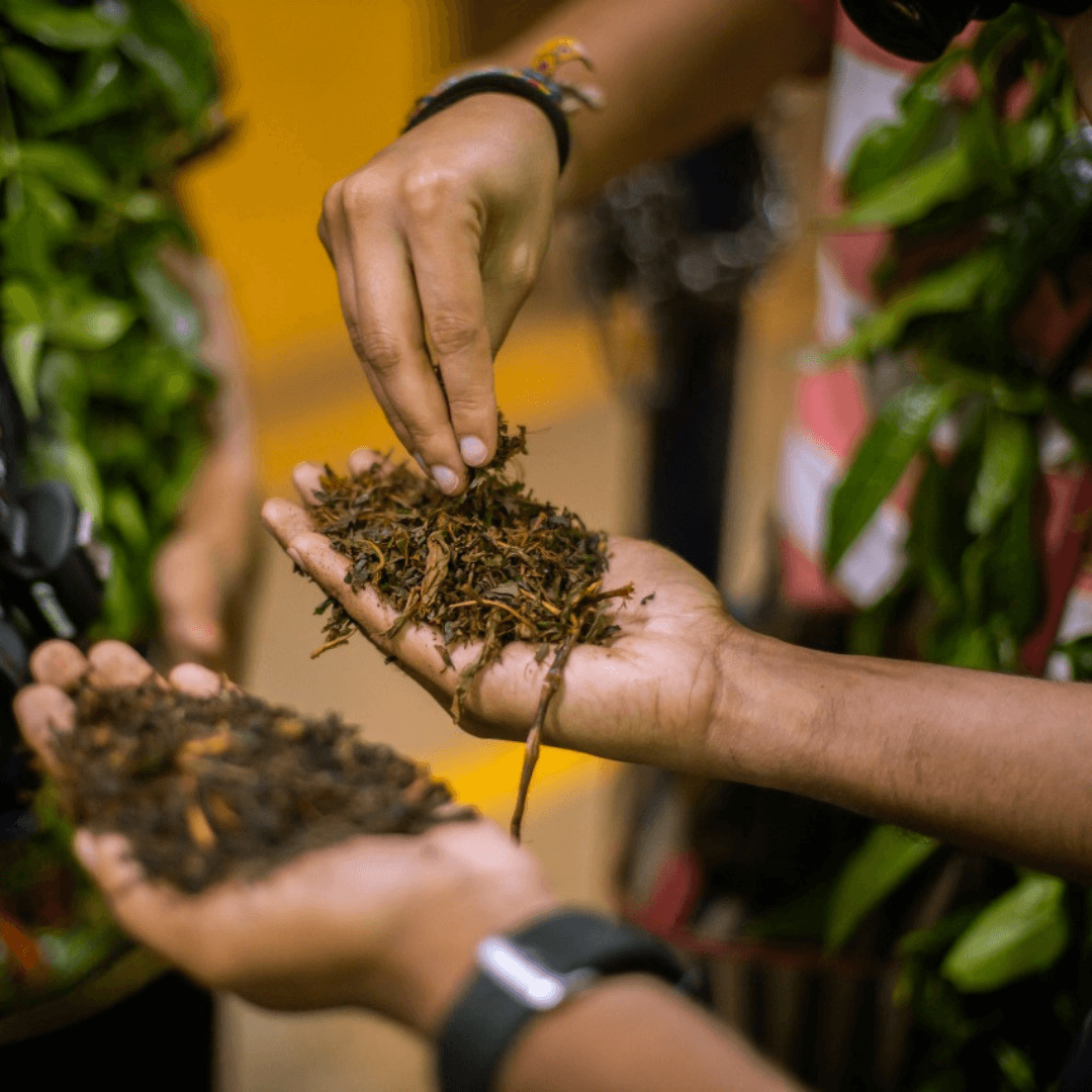 Viaje para mujeres a India con Ellas por el Mundo49