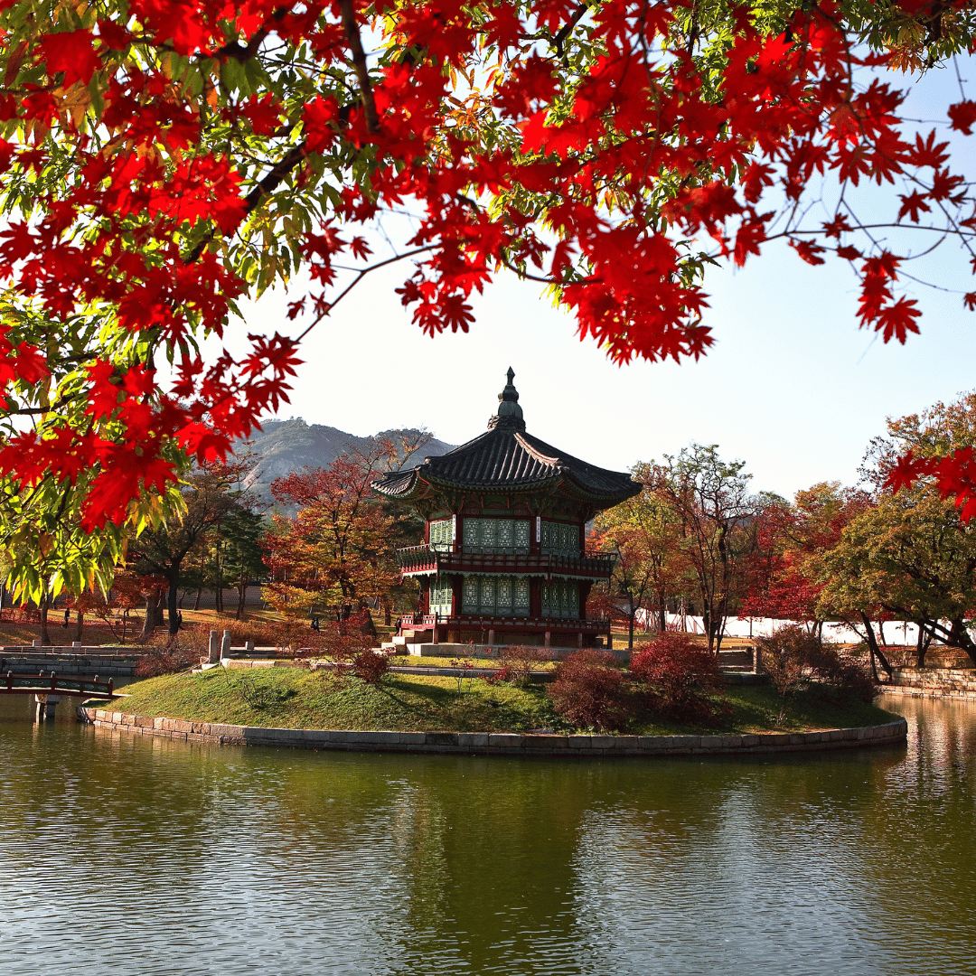 Corea del Sur - Viaje para mujeres con Ellas por el Mundo4