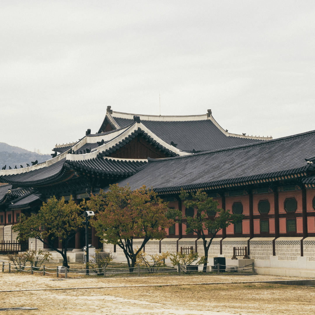 Corea del Sur - Viaje para mujeres con Ellas por el Mundo8