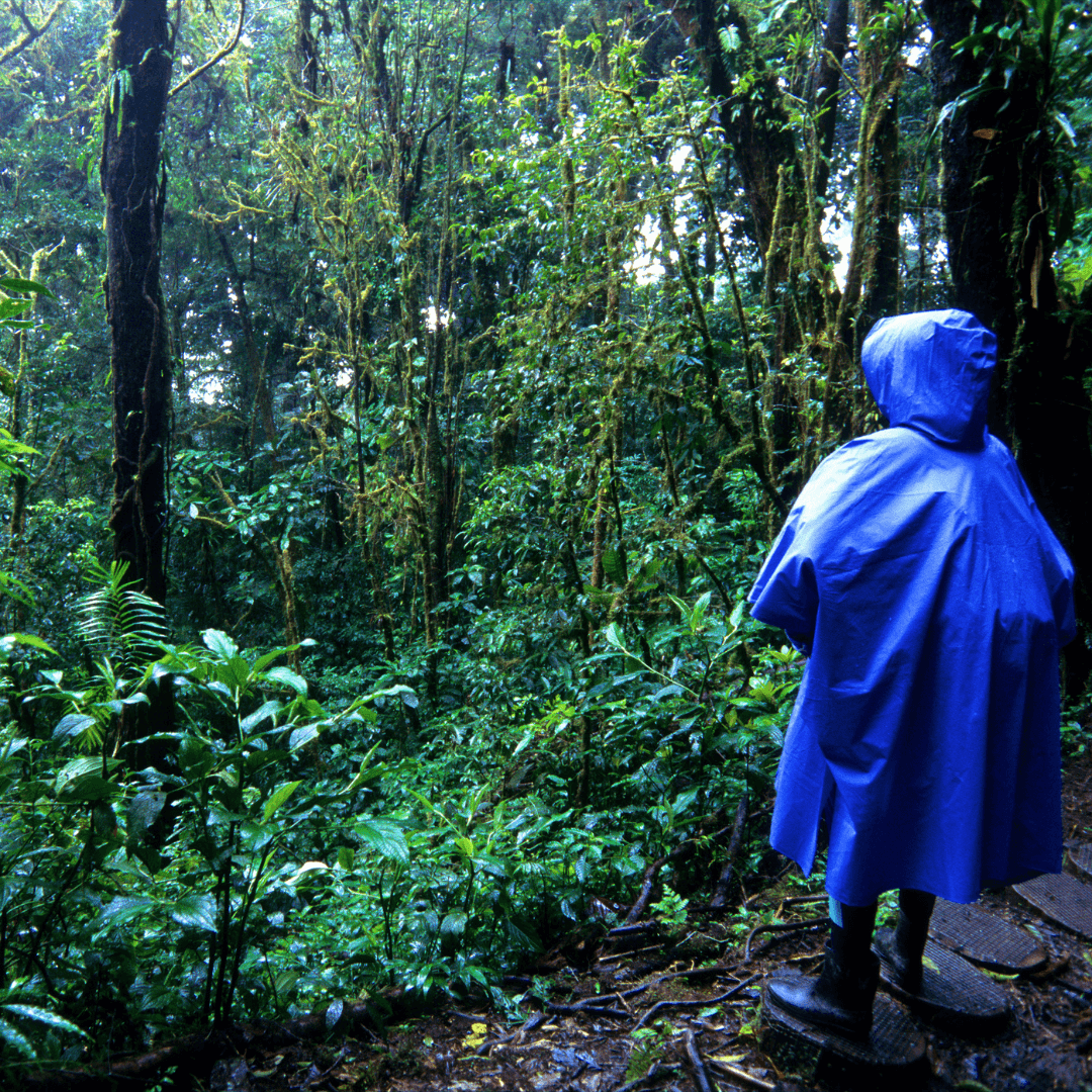 Costa Rica viaje para mujeres - Ellas por el Mundo17