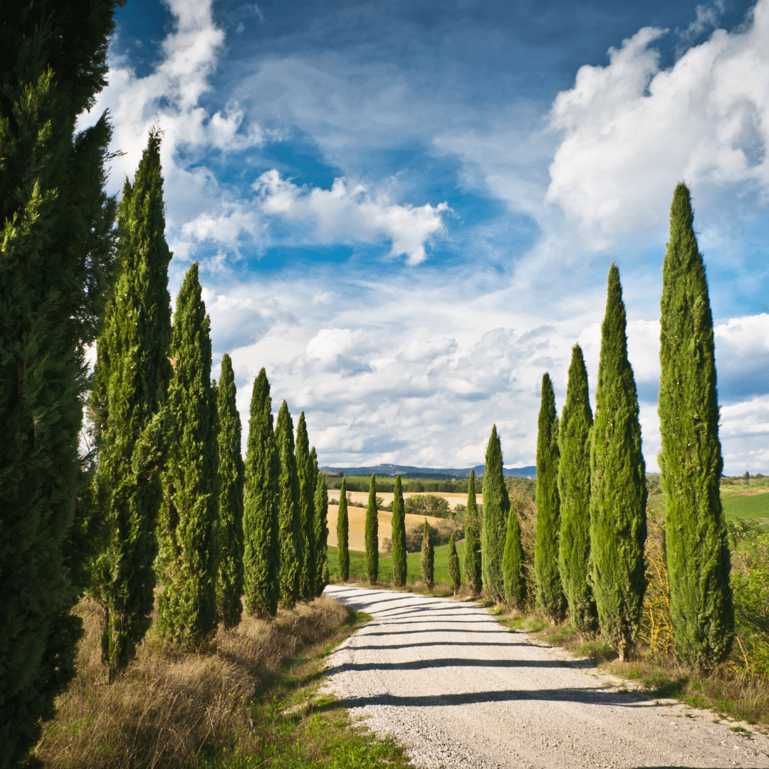Retiro en Italia para mujeres - Ellas por el Mundo15