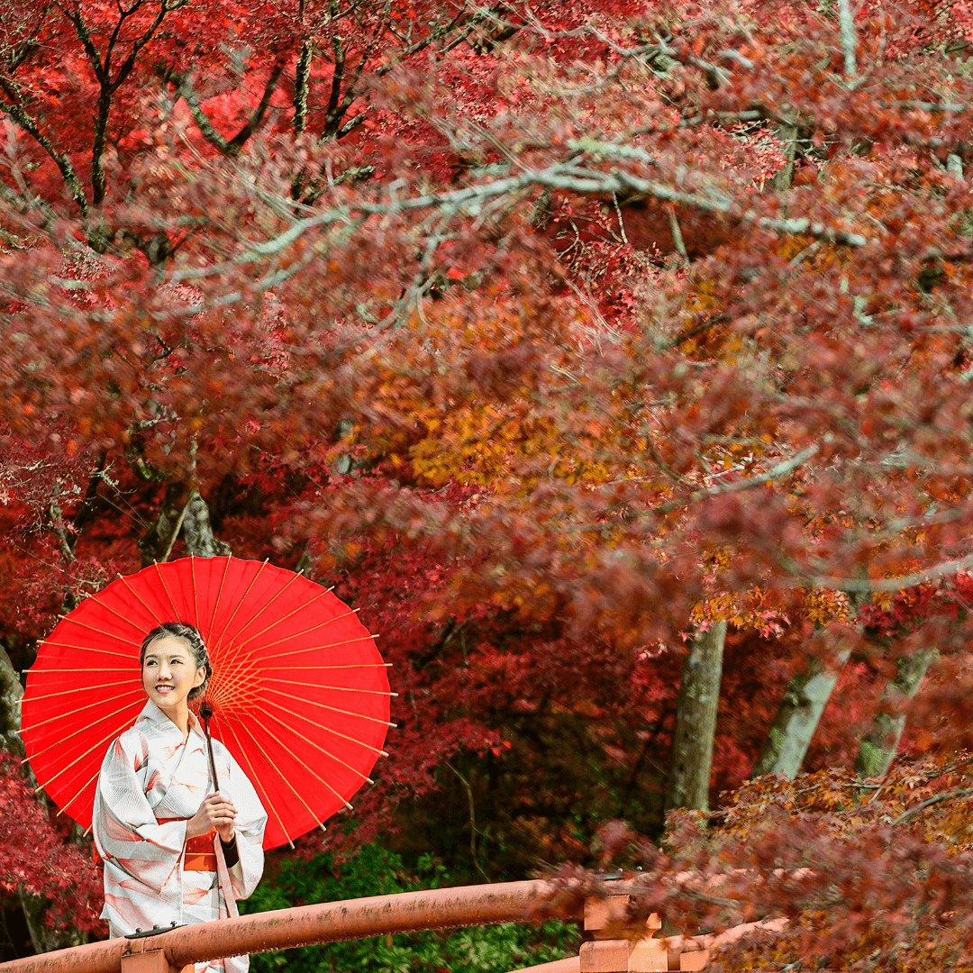 Viaje para mujeres a Japon - Ellas por el Mundo16