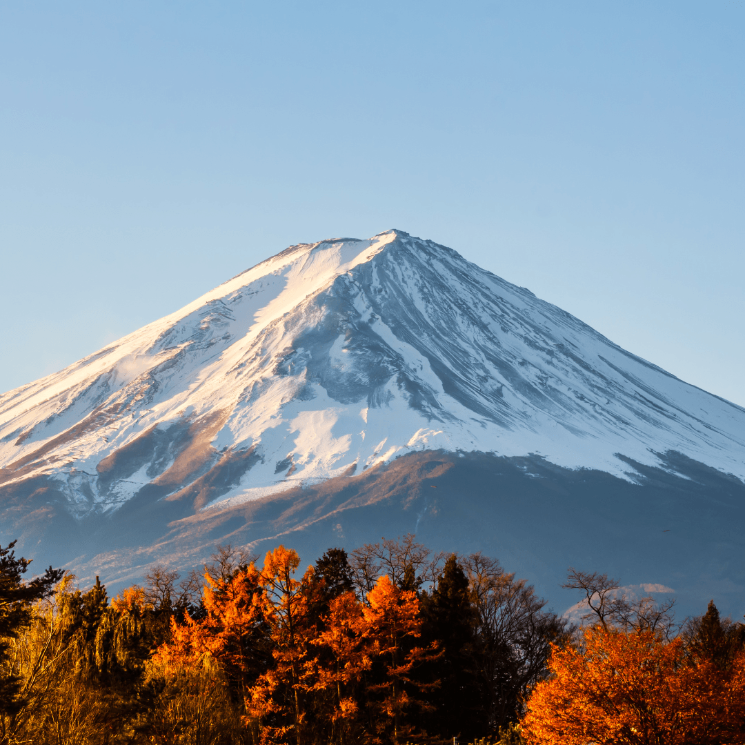 Viaje para mujeres a Japon - Ellas por el Mundo20