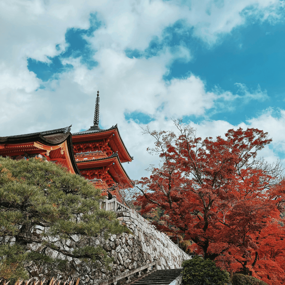 Viaje para mujeres a Japon - Ellas por el Mundo3
