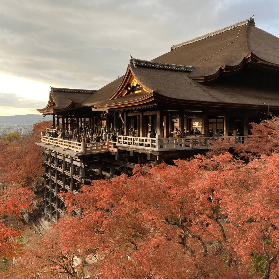Viaje para mujeres a Japon - Ellas por el Mundo4